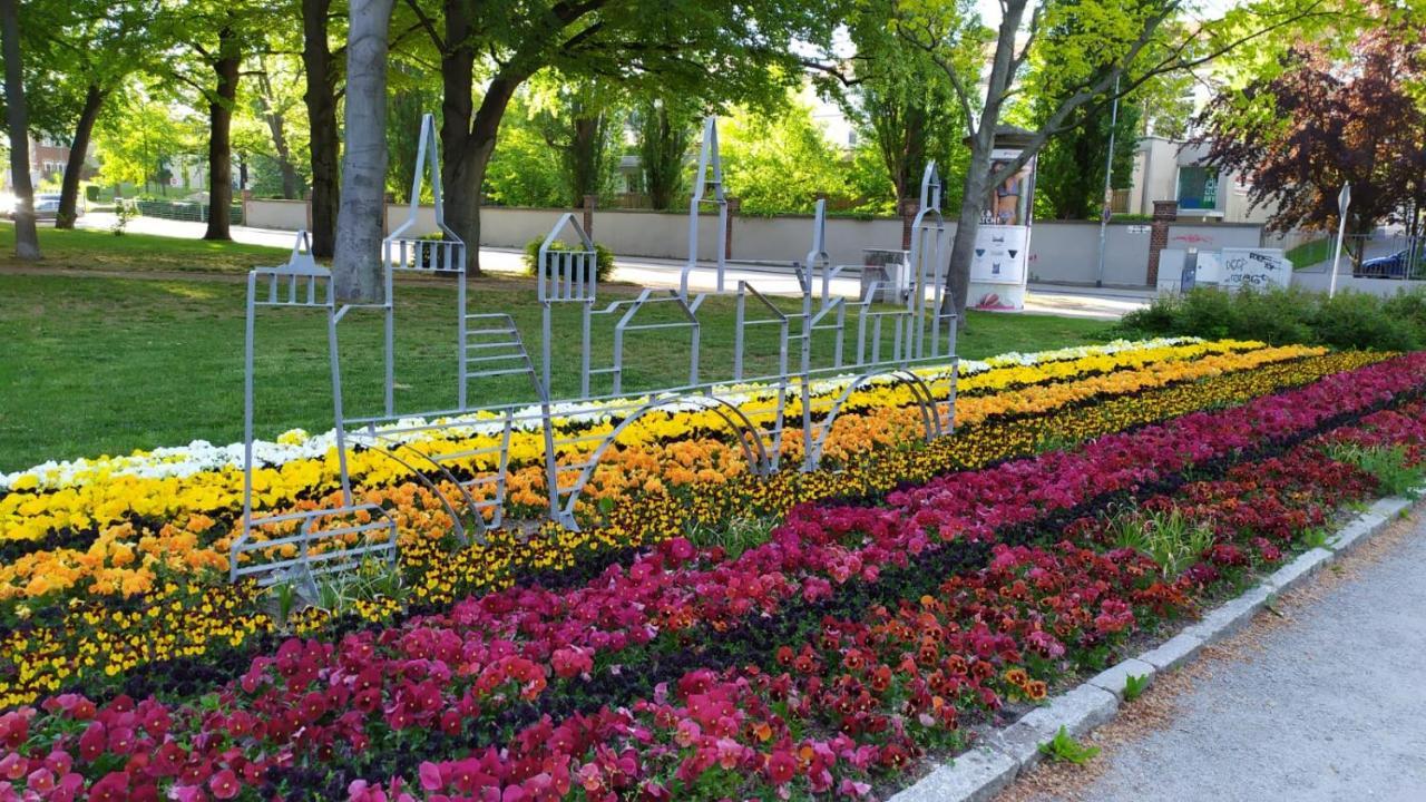 Alte Baeckerei Bautzen - 00 #Kids# Im Zentrum, Mit Parkplatz, Top Ausgestattet 외부 사진